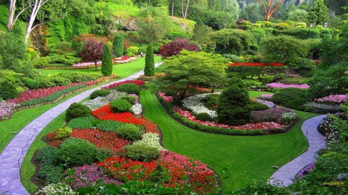 Flower, Tree and Planting